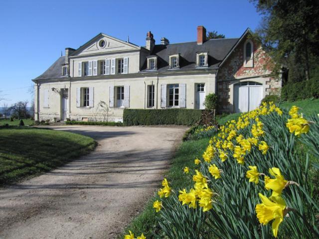 Chambres D'Hotes Le Chateau De La Plante Thuré Exterior photo